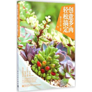 创意多肉,轻松搞定 慢生活工坊 编著 著 生活休闲 生活 电子工业出版社 畅销书籍排行 新华正版
