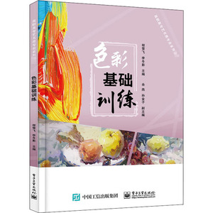 色彩基础训练(高职高专艺术类专业系列教材)：程雪飞 著 大中专文科文教综合 大中专 电子工业出版社 畅销书籍排行 新华正版