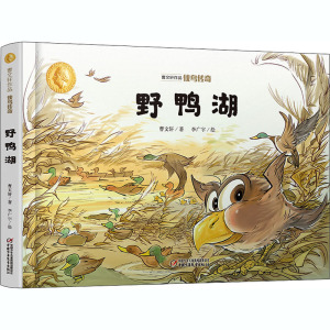 侠鸟传奇 野鸭湖 曹文轩 著 绘本 少儿 中国少年儿童出版社 畅销书籍排行 新华正版