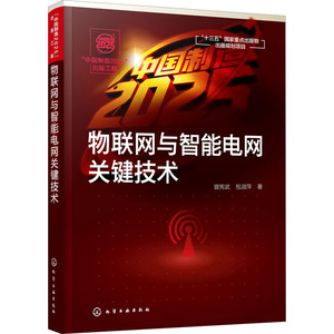 物联网与智能电网关键技术 曾宪武,包淑萍 著 网络技术 专业科技 化学工业出版社 9787122356802 畅销书籍排行 新华正版
