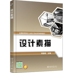 设计素描：袁国艳 编 大中专文科文学艺术 大中专 北京大学出版社 畅销书籍排行 新华正版