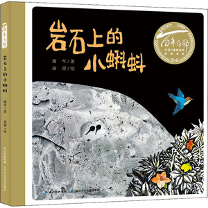 岩石上的小蝌蚪 谢华 著 俞理 绘 绘本 少儿 长江少年儿童出版社 畅销书籍排行 新华正版