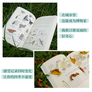 自然笔记(开启奇妙的自然探索之旅全新增订版) 芮东莉 著 少儿科普 少儿 湖南科学技术出版社 畅销书籍排行 新华正版