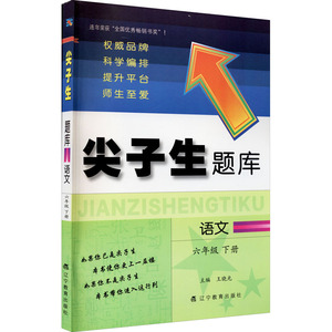 尖子生题库 语文 6年级 下册：王晓光 编 小学语文同步讲解训练 文教 辽宁教育出版社 畅销书籍排行 新华正版