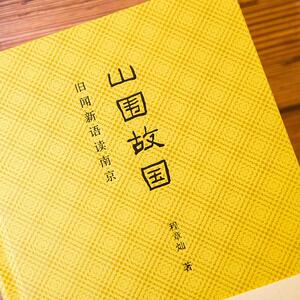山围故国 旧闻新语读南京 程章灿 著 散文 文学 南京大学出版社 畅销书籍排行 新华正版