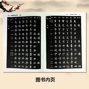 中国硬笔书法字典庞中华主编中国传世书法技法钢笔字典笔画查字楷书行书隶书草书篆书魏碑繁体书法艺术成人书法钢笔硬笔书法工具书