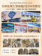 Birkenstock Shoe Cleaner, Suede Leather Shoe Care, Dry Cleaning, Suede, Nubuck, Special Cleaning Agent for Yellow Snow Boots