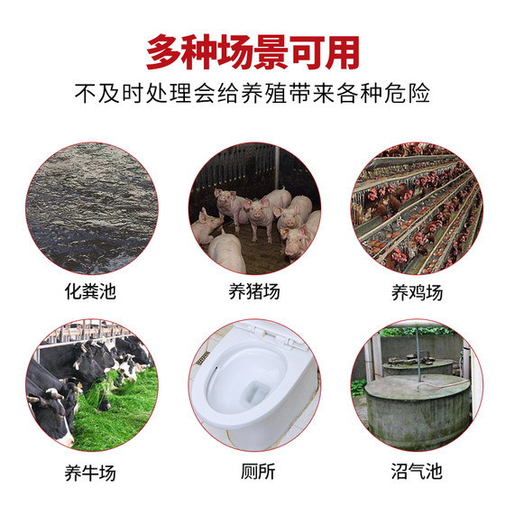 Septic Tank Dissolving Agent, Feces Decomposition Agent, Microbial Melting Deodorizing and Degradation Agent, Sewer Toilet Blockage