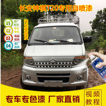 Long-calming qi T10 T20 sparkling bright silver grey self-spray paint truck special supplement lacquered pen silver paint wagon