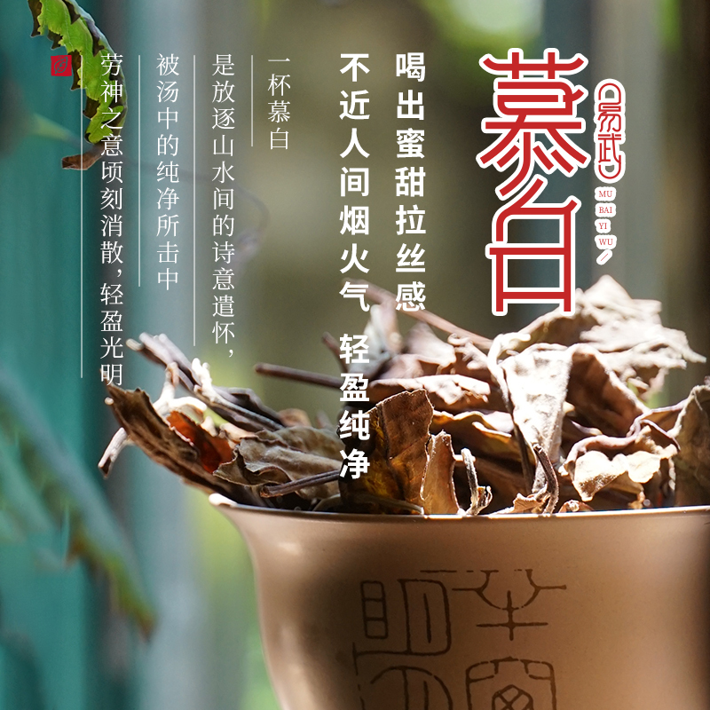 Buy Five Get One Free Mubai Loose Tea】Yunnan Yiwu 2020 Ancient Tree Shoumei White Tea 200G/Can Buy Five Get One Free Mubai Loose Tea】Yunnan Yiwu 2020 Ancient Tree Shoumei White Tea 200G/Can