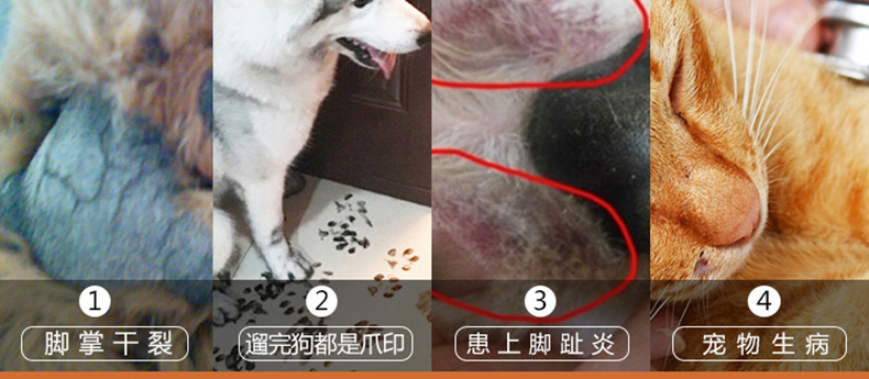 Pet làm sạch bọt rửa con chó chân chất lỏng cat dog chăm sóc bàn chân sạch chống nấm chống nứt vẻ đẹp làm sạch nguồn cung cấp găng tay loại bỏ lông thú cưng