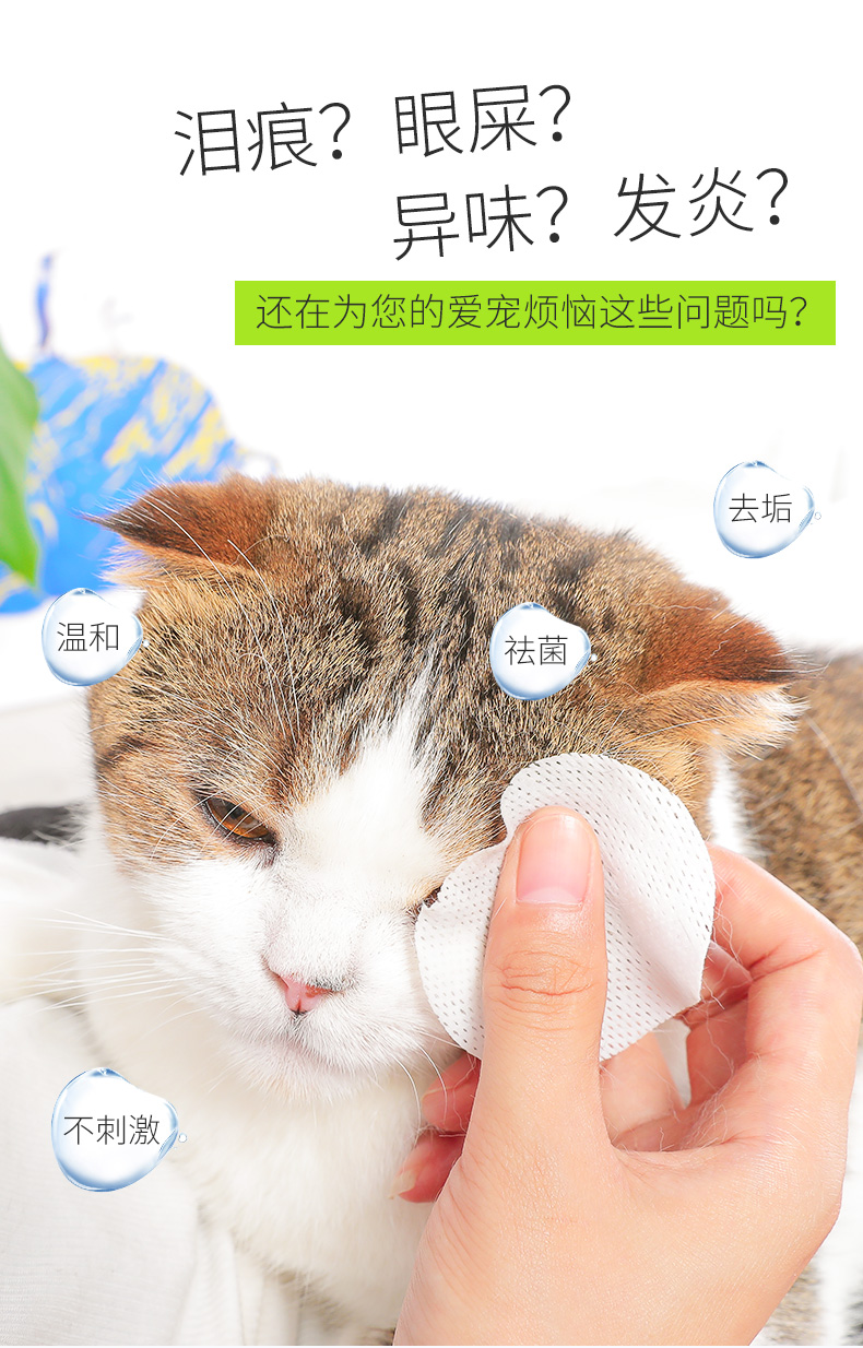Mèo lau nước mắt cho mèo Nước mắt mèo kháng viêm kháng vật nuôi cộng với nước mắt mèo Philippines - Cat / Dog Beauty & Cleaning Supplies chải lông mèo