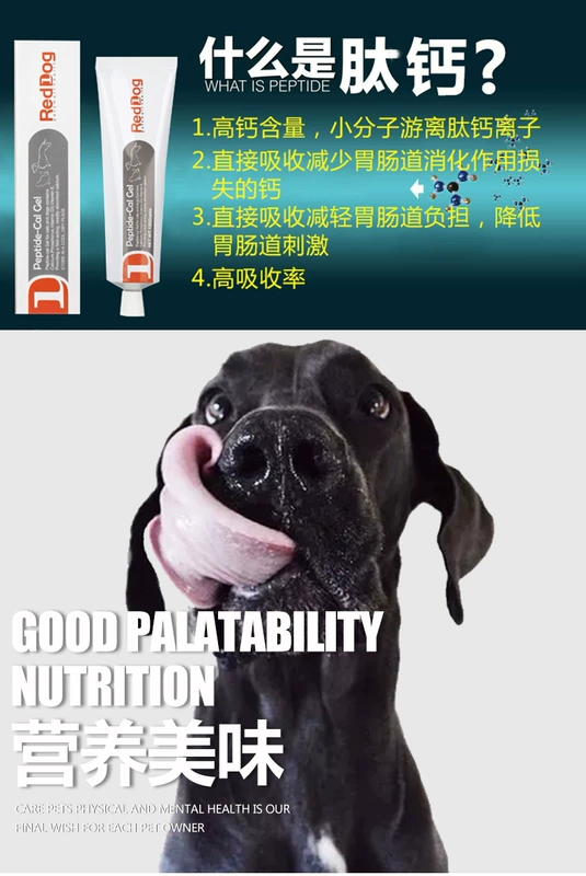 RedDog Red Dog Peptide Canxi Canxi Strong Bone Canxi Health Răng Pet Cat Dog Kem dinh dưỡng tổng hợp Sản phẩm sức khỏe