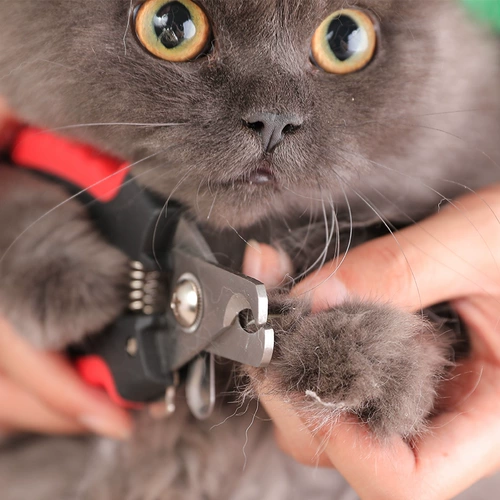 Бесплатная доставка собака кошачья кошачья шлифовальная броня броня броня плюшка