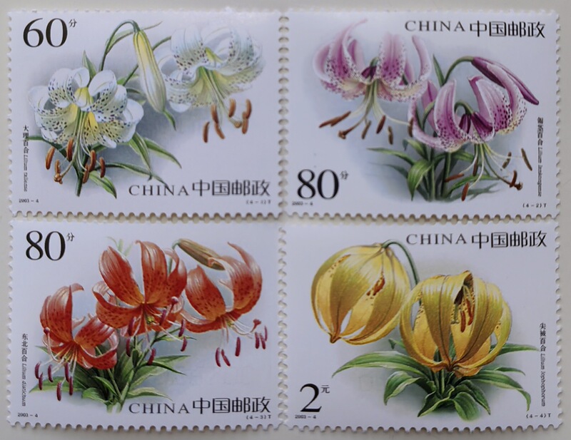 2003-4 Lily Flower Stamp, Authentic Original Adhesive, Full Quality, Real Photos Taken under Light 2003-4 Lily Flower Stamp, Authentic Original Adhesive, Full Quality, Real Photos Taken under Light