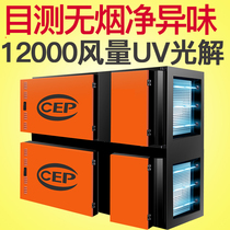 Special 12000 AIR VOLUME LOW AIR DISCHARGE OIL SMOKE PURIFIER HOTEL KITCHEN COMMERCIAL BARBECUE SMOKE FREE HIGH NET PECULIAR SMELL