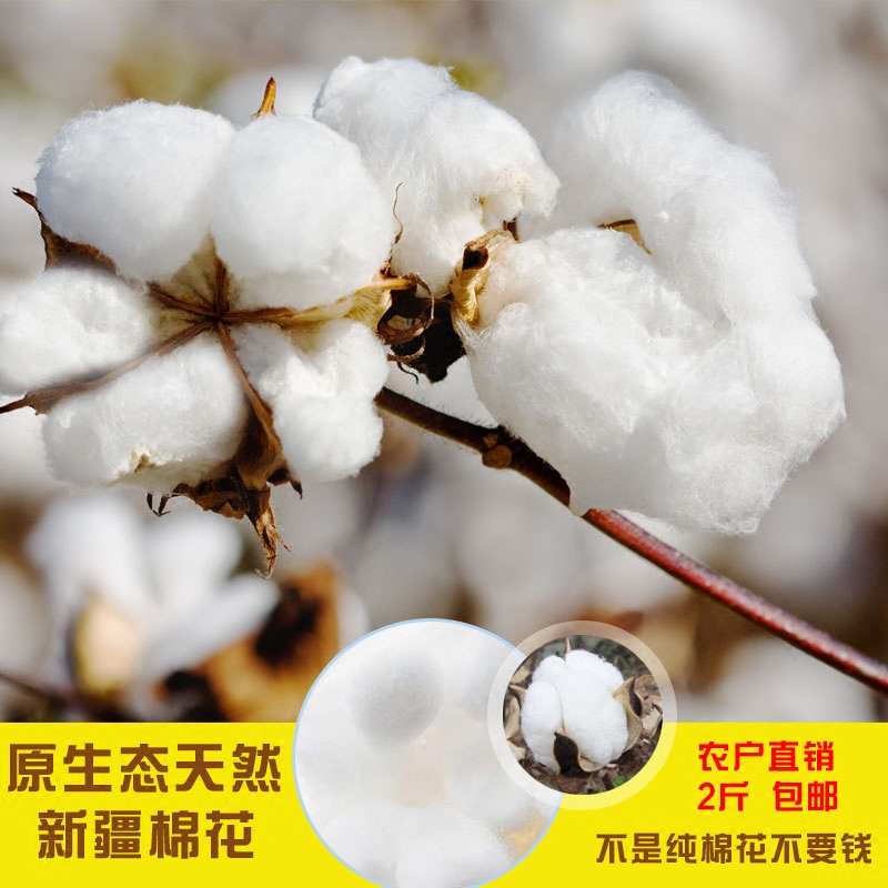 Xinjiang Cotton, Pure Cotton, Natural Long-Staple Cotton, Loose Cotton, Seed-Removed Raw Cotton, Elastic Cotton Batting for Quilts