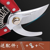 Flower scissors Gardening scissors Pruning scissors Household pruning scissors Clearance flower scissors Pruning scissors Garden gardening scissors