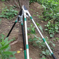 Pruning Branch Scissors Tough Cutting Strong Scissors Pruning Scissors Garden Telescopic Fruit Branch Scissors