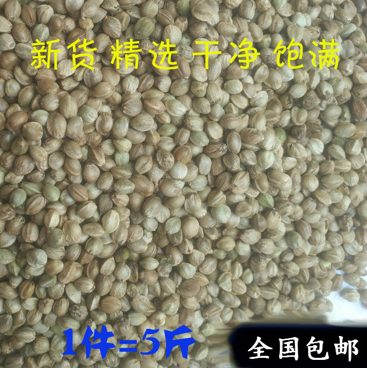 (5 kg of hemp seeds in granules )Parrot feed Millet hemp seed peony hopper bird feed sunbird