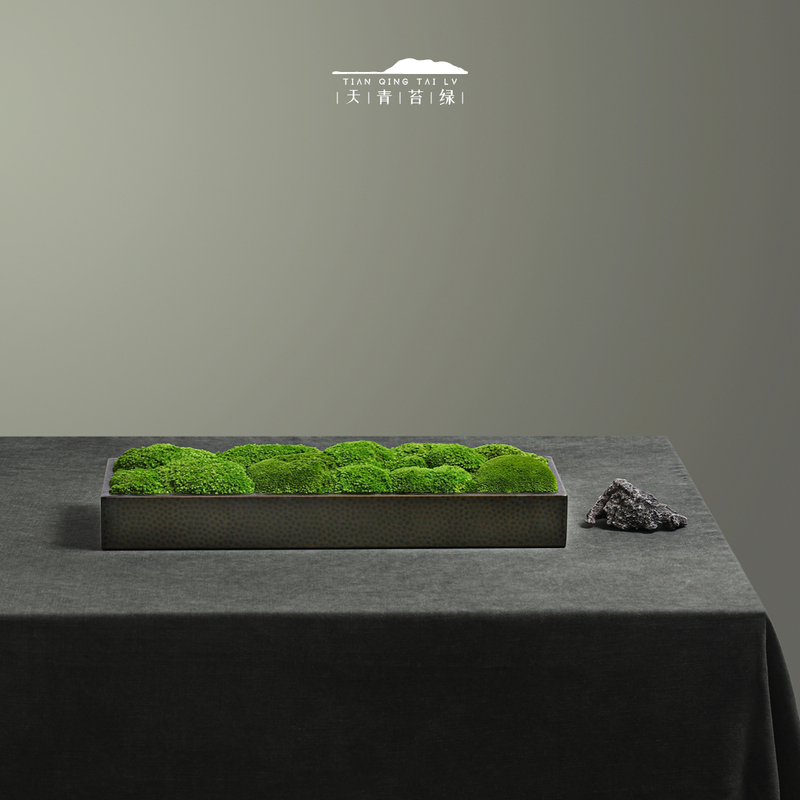 Tianqing Moss Green New Chinese Style Rectangular Hammer Pattern Metal Flower Device Immortal Moss Combination Tea Space Desktop Ornament