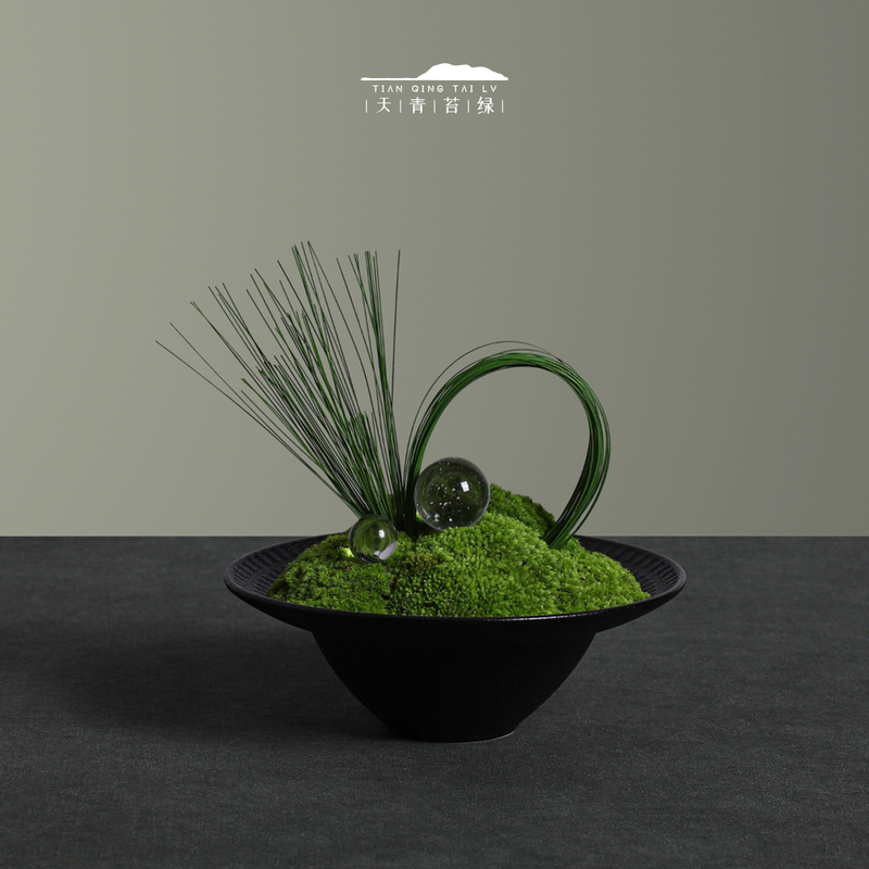 Sky Green Moss New Chinese-Style Ceramic Eternal Moss Combination Model House Coffee Table Negotiation Table Bedside Table Ornaments