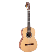 Gipsy Veneer Guitare Classique 39 Inch Flamengo Absence Corner Test Class Electric Box Classical 36 Guitar Ultra-thin Travel