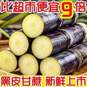 Guangxi black sugarcane selected middle section sugarcane
