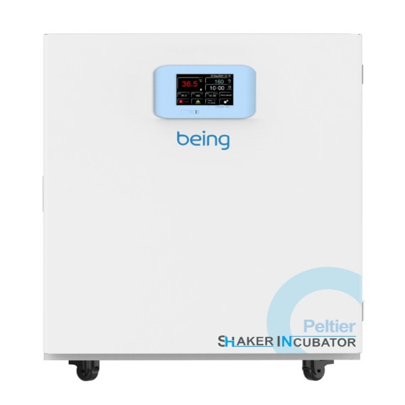 BEING/贝茵半导体制冷振荡培养箱（下单请联系）