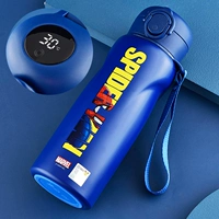 Из нержавеющей стали, 480 мл