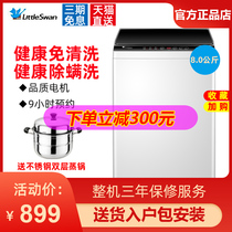 Little Swan washing machine automatic household pulsator small 8kg large capacity elution machine TB80V23H