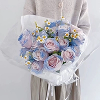 Небо синий 19 Бабелла А