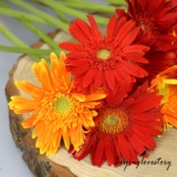 Пекинская семья Семейство города Пекин Тяньцзин подписывается на жизни Flowers Express Flower Francoal Africa Chrysanthemum Подсолнечник подсолнечника подсолнечника