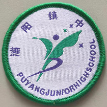 School uniforms in the town of Puyang