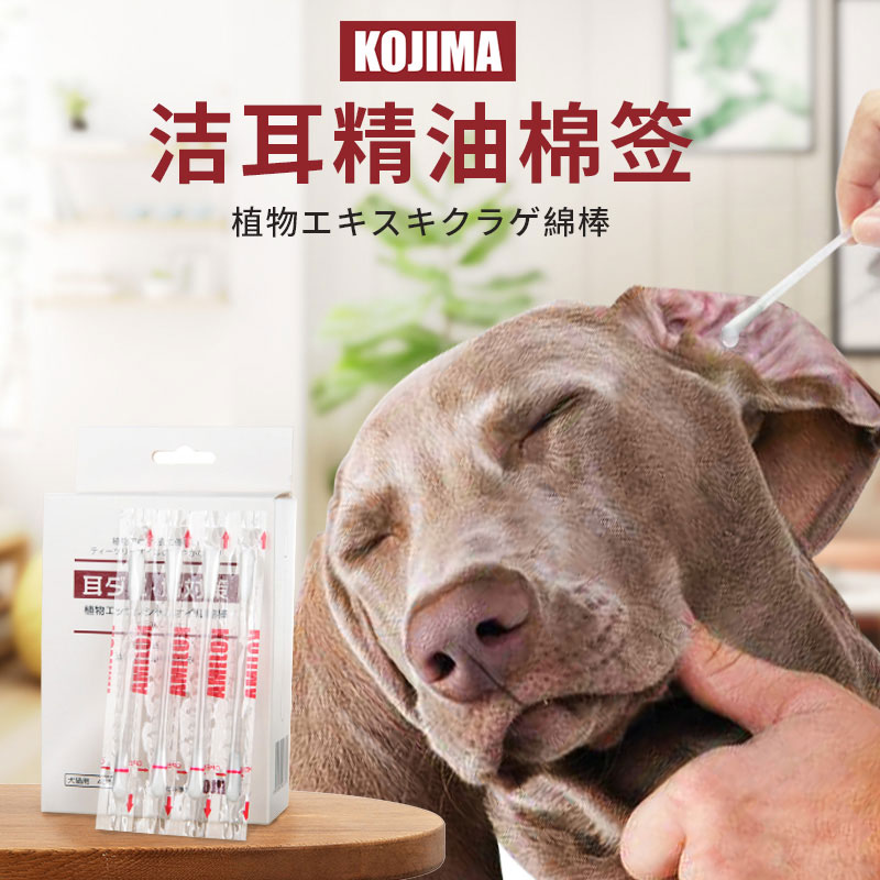 Kojima宠物耳部精油棉棒耳道清洁棉签洗耳液洁耳狗狗耳朵清洁用品 Kojima宠物耳部精油棉棒耳道清洁棉签洗耳液洁耳狗狗耳朵清洁用品