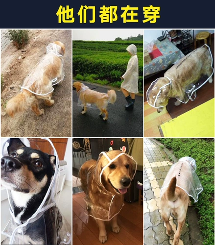 Пейнс -плащ