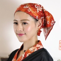 SC16 красная большая волна