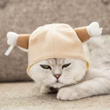 Милая шапка, аксессуар для волос, парик, на удачу, наряжаться