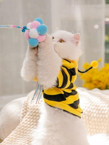 Лето тонкая пчелиная одежда, кошачий свитер, пчела, кошка, кошка, собачьи домашние принадлежности, нейронные кошки