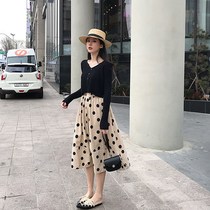 Autumn professional suit women autumn clothes 2020 new fried street temperament goddess fan skirt two-piece skirt foreign gas