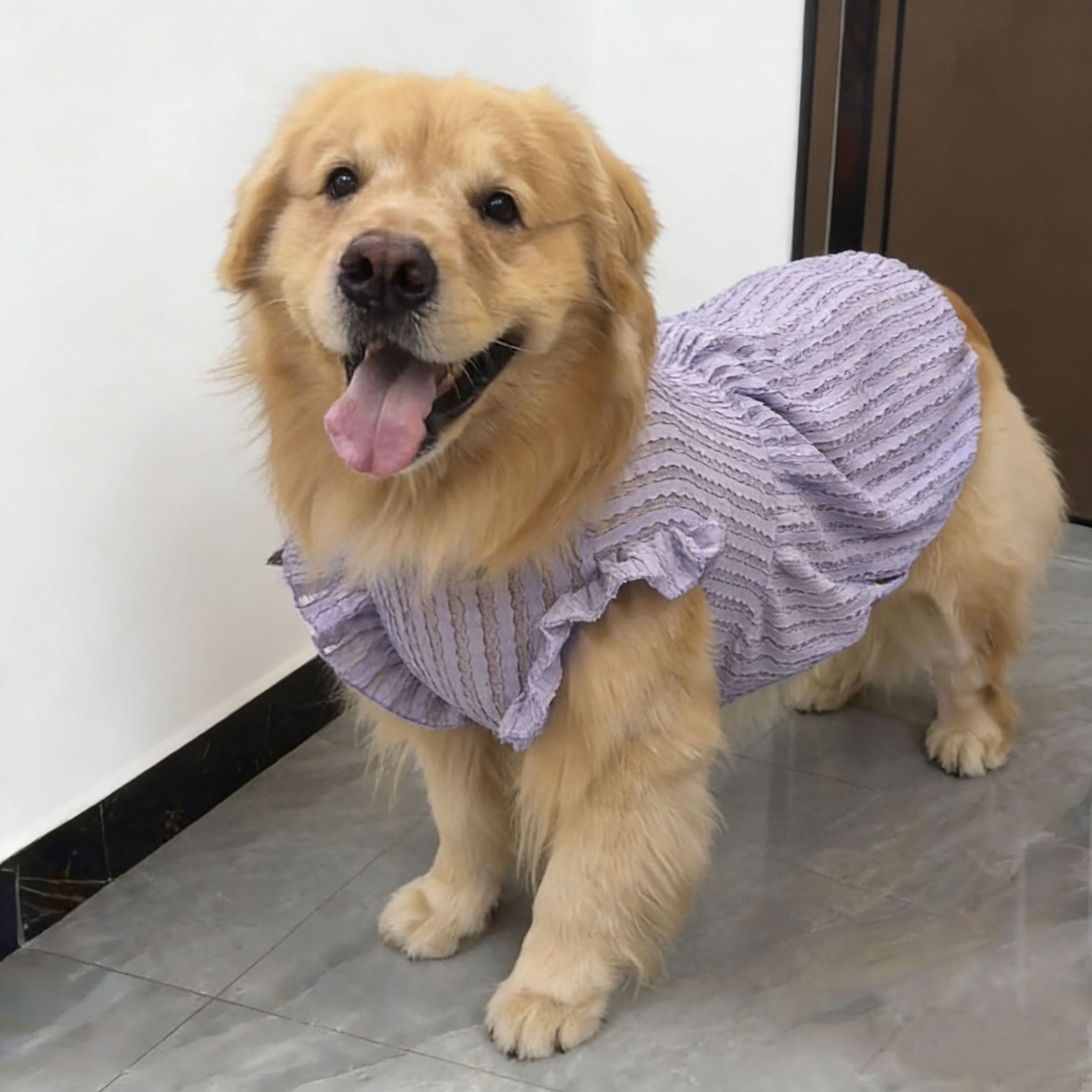 Large dog clothes thin golden retriever Alaskan Labrador Samoyed big dog pet dress princess style