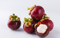 Fresh large fruit mangosteen