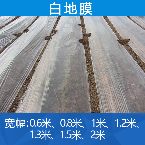 Transparent plastic film White mulch film Greenhouse film Dustproof plastic film No drop film gardening supplies film