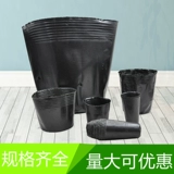 Пищевая мешка для питания пакета питания питания чашка численное растение растение Плохое Полинальное Полиноты Цветочные горшок