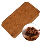 Кокосовые кирпичи с капустой и цветами выращивают почву, кокосовые отруби, сочное выращивание почвы гумуса универсальная питательная почва