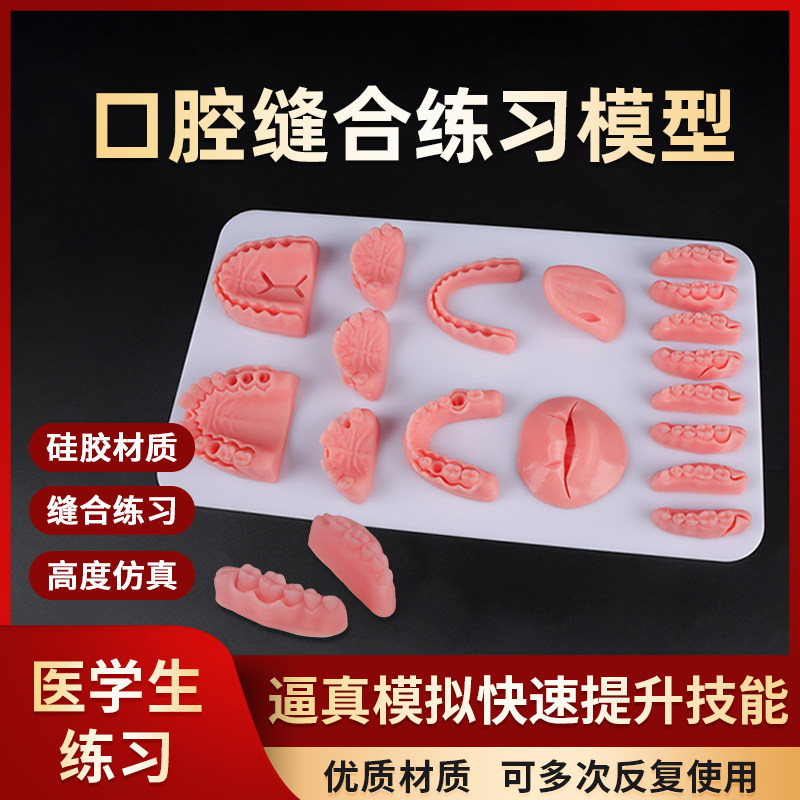 牙科组合训练模块带底板