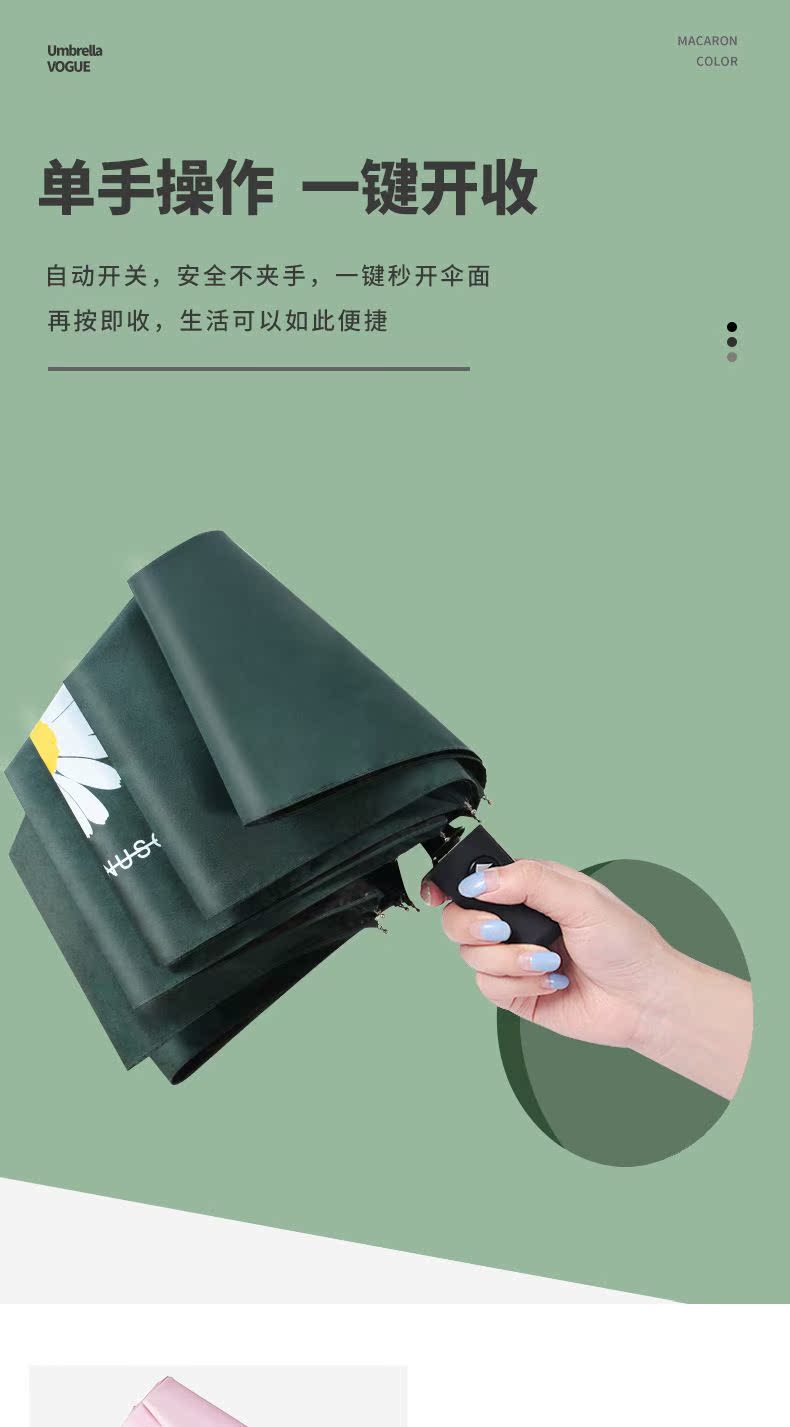 小雏菊自动_07.jpg
