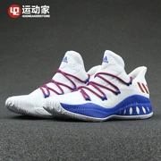 [42 vận động viên] Giày bóng rổ Adidas Crazy Explosive Low Vickys NCAA BY3230