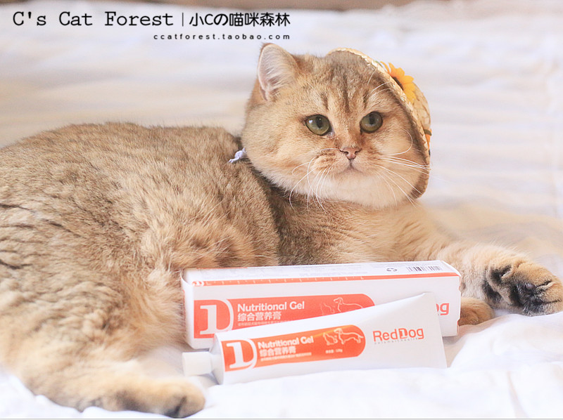 Màu đỏ ròng với kem dinh dưỡng cho chó đỏ RedDog Kem dinh dưỡng cho chó và kem dinh dưỡng cho mèo 120g - Cat / Dog Health bổ sung sữa bột cho mèo