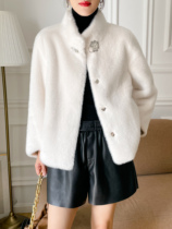 2022 new imitation mink velvet fur fur coat ladies coat short fashion temperament stand collar all-match